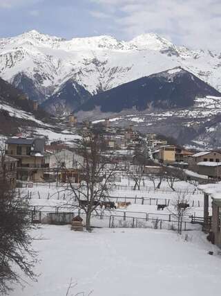 Отель Hotel Ramaz Paliani Местиа Двухместный номер Делюкс с 1 кроватью или 2 отдельными кроватями и балконом-9