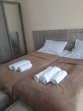 Отель Hotel Ramaz Paliani Местиа Двухместный номер Делюкс с 1 кроватью или 2 отдельными кроватями и балконом-17