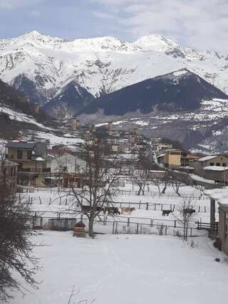 Отель Hotel Ramaz Paliani Местиа Двухместный номер Делюкс с 1 кроватью или 2 отдельными кроватями и балконом-18